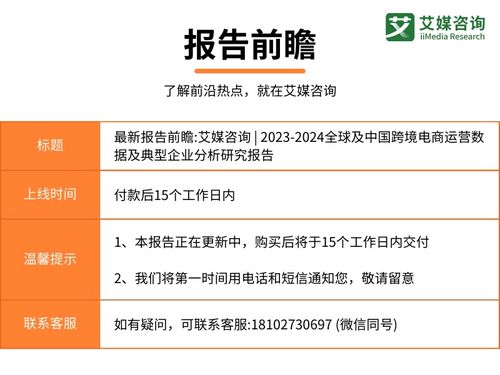 2023-2024年全球及中國跨境電商運(yùn)營數(shù)據(jù)與典型企業(yè)分析報(bào)告